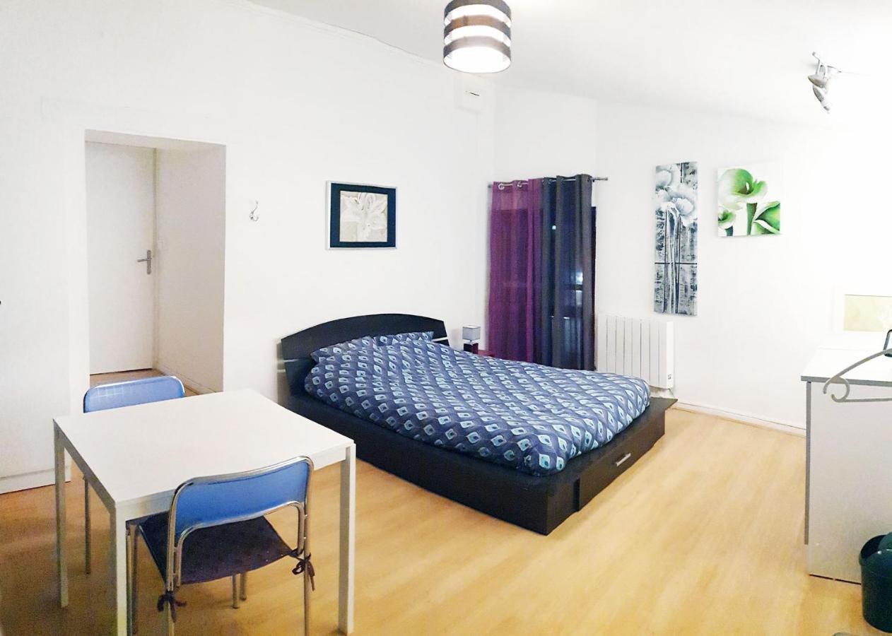 Studio, Chambres, Appartement, Gite Vendegies-sur-Ecaillon Экстерьер фото